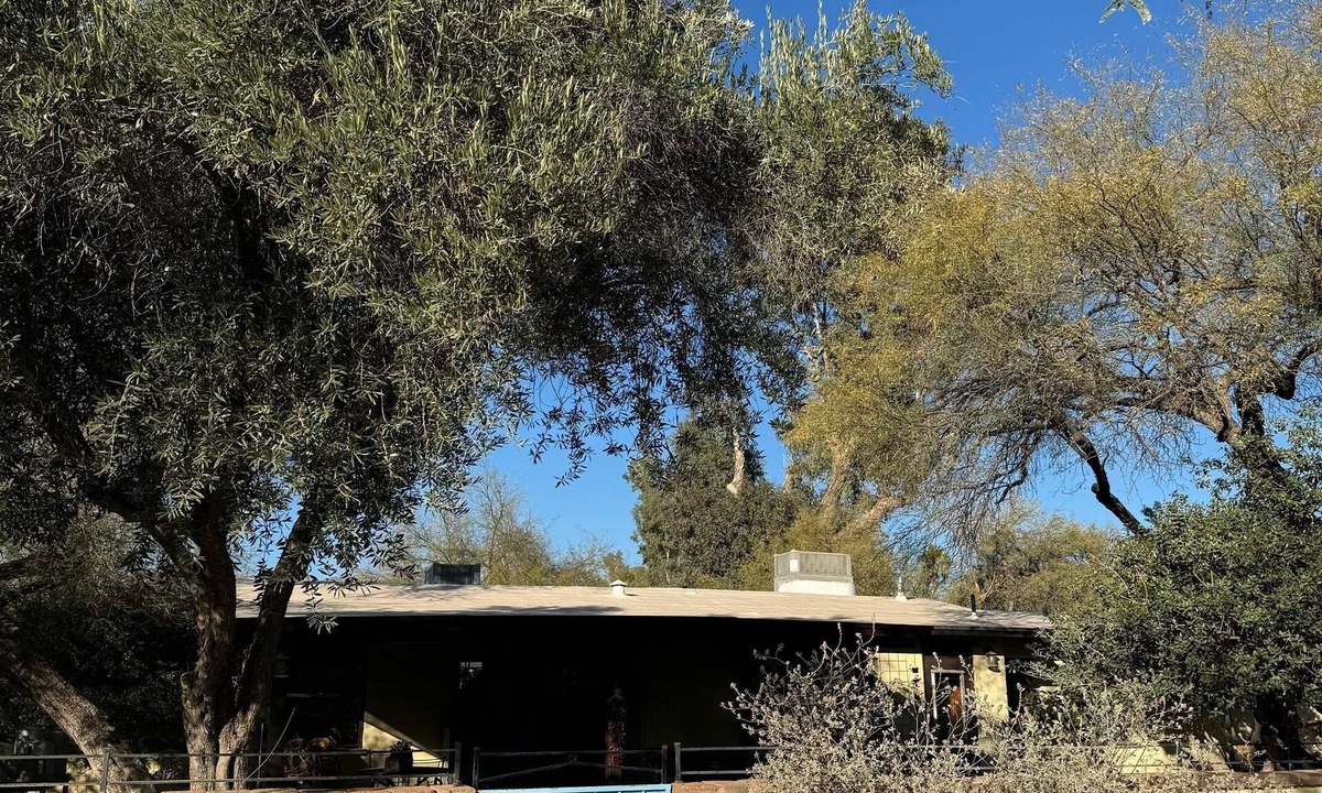 Tanque Verde House | 3 BR adobe home , horse friendly, pool, jacuzzi,pet friendly.
