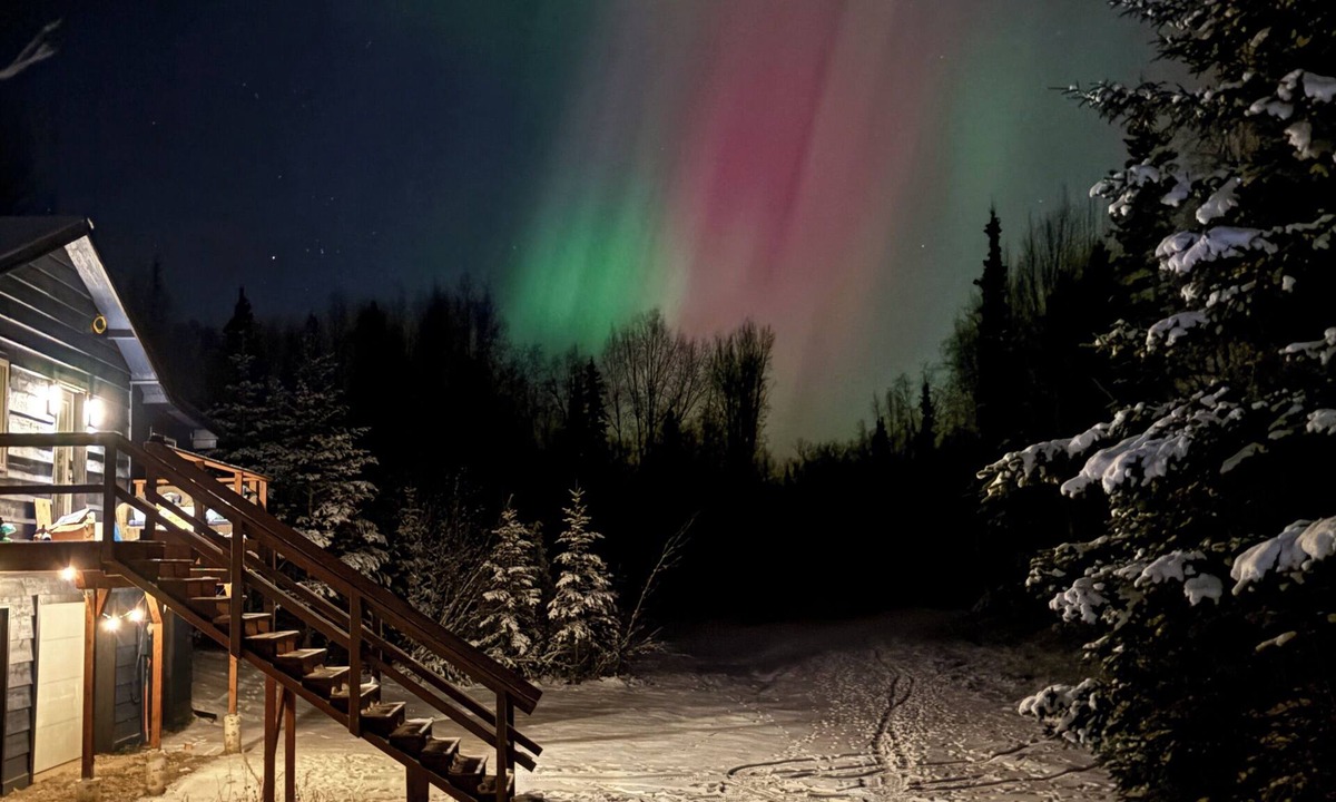 Tanaina House | Barrel Sauna + Open Concept + Mountain Getaway = Relaxing Stay