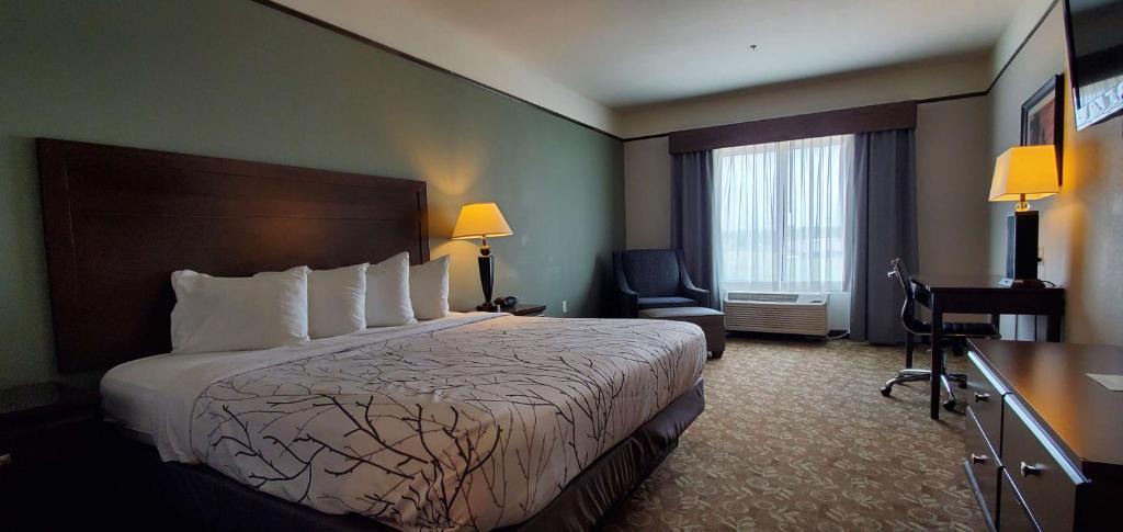 Emory Hotel | Best Western Plus Emory at Lake Fork Inn & Suites
