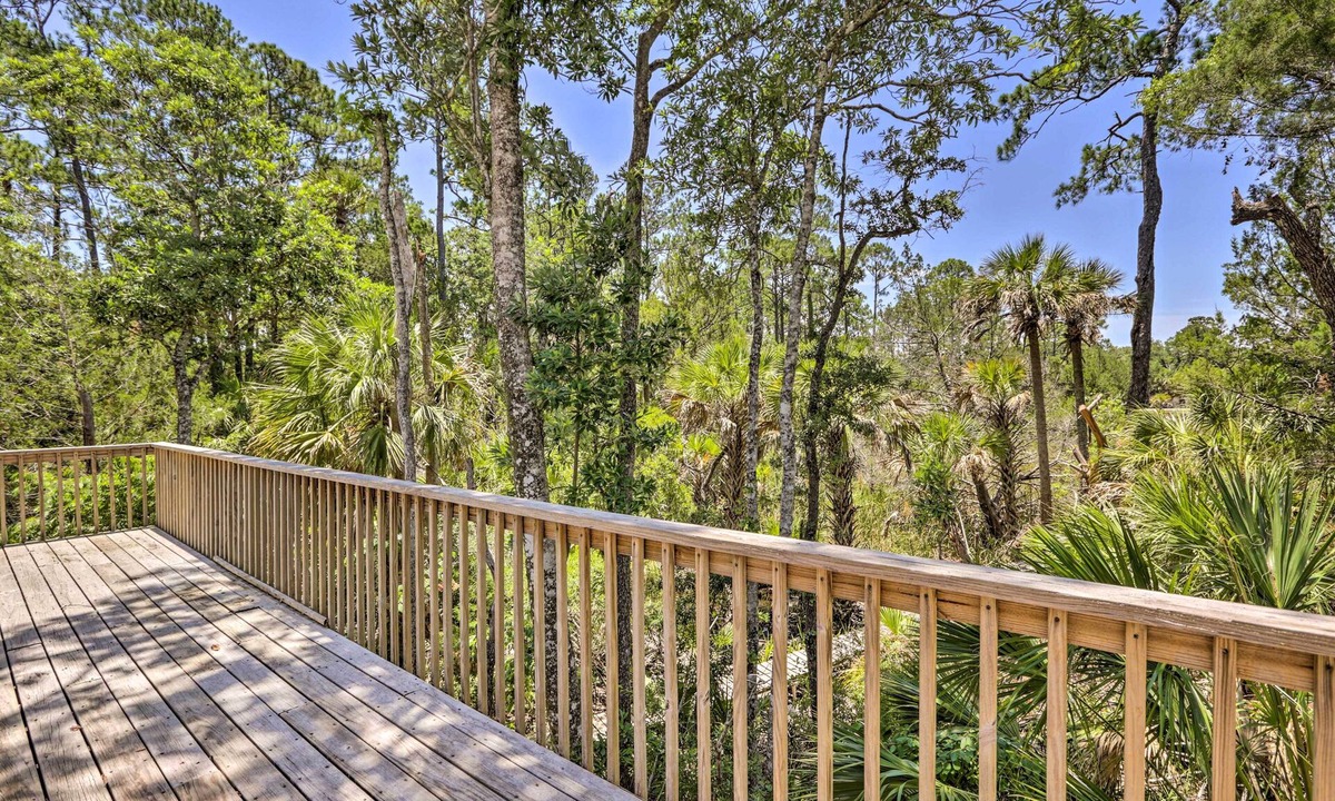 Steinhatchee Cottage | Bright Steinhatchee Home: Proximity to Ocean!