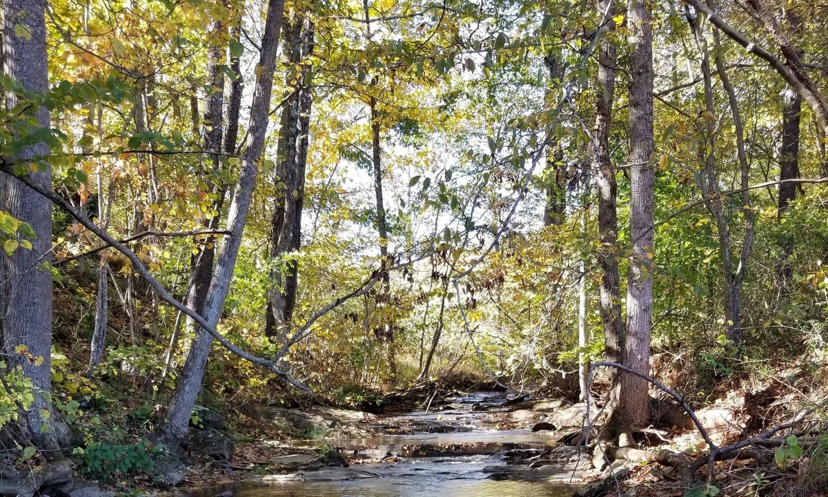 Woolwine RV Rental | Creekside Stargazer Tent Farmstay