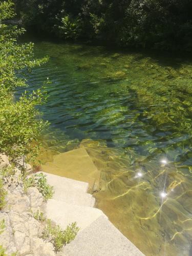 Ventiseri Other | Evasion