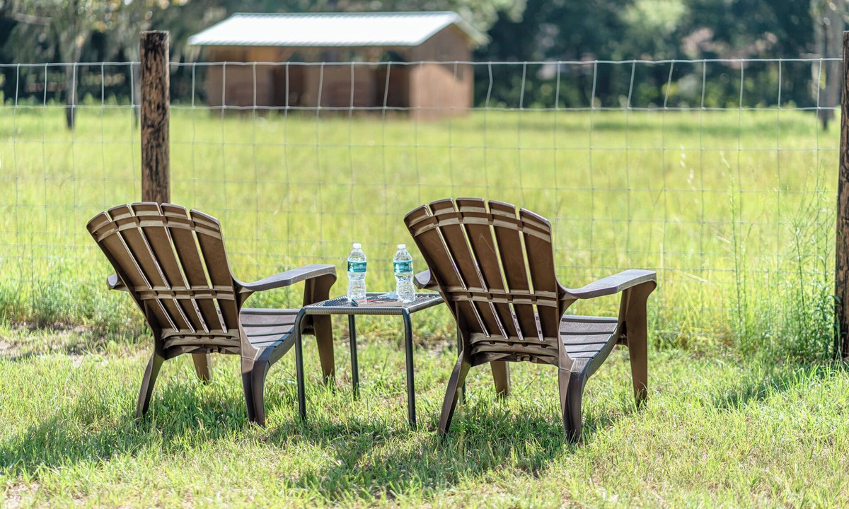 Ocala House | Lemonade Acres: Country Charm Made Convenient!