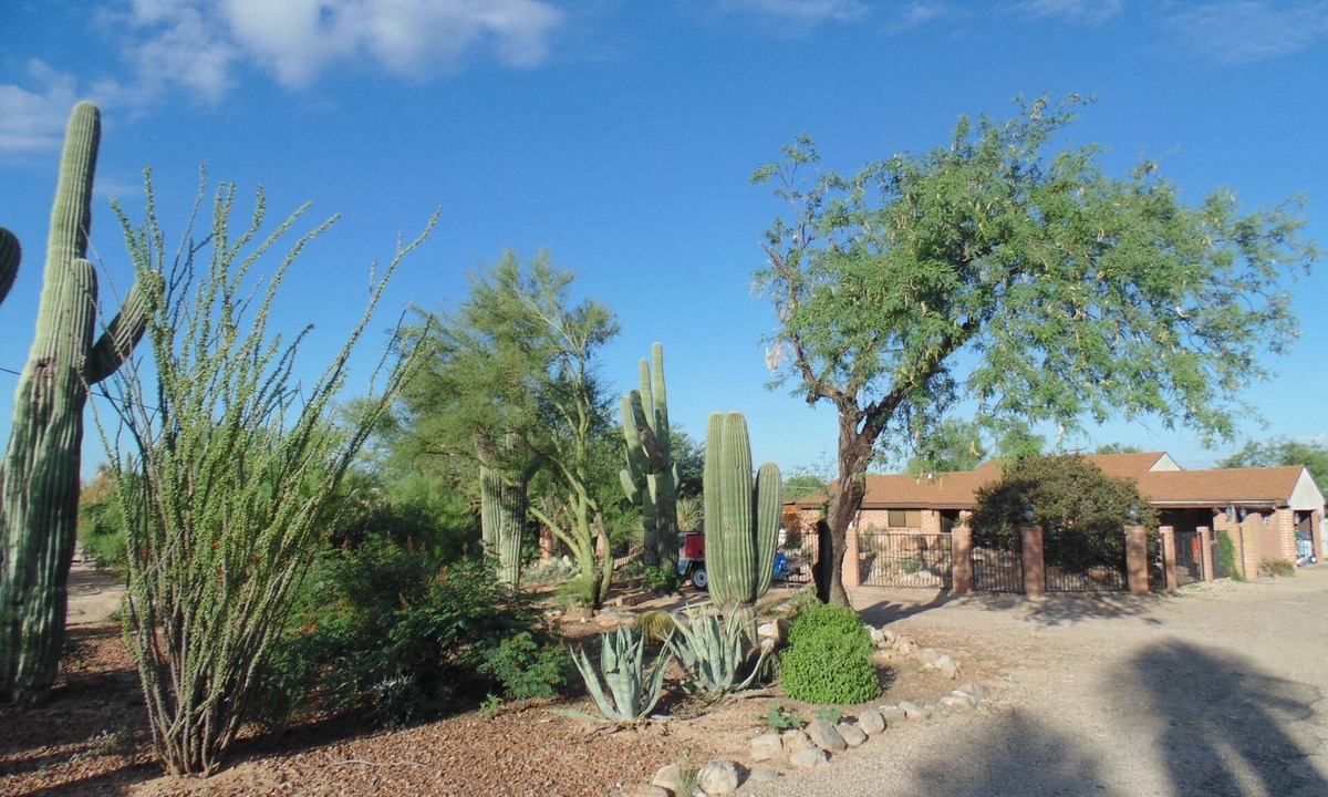 Oro Valley House | Our Upgraded Home on an Acre