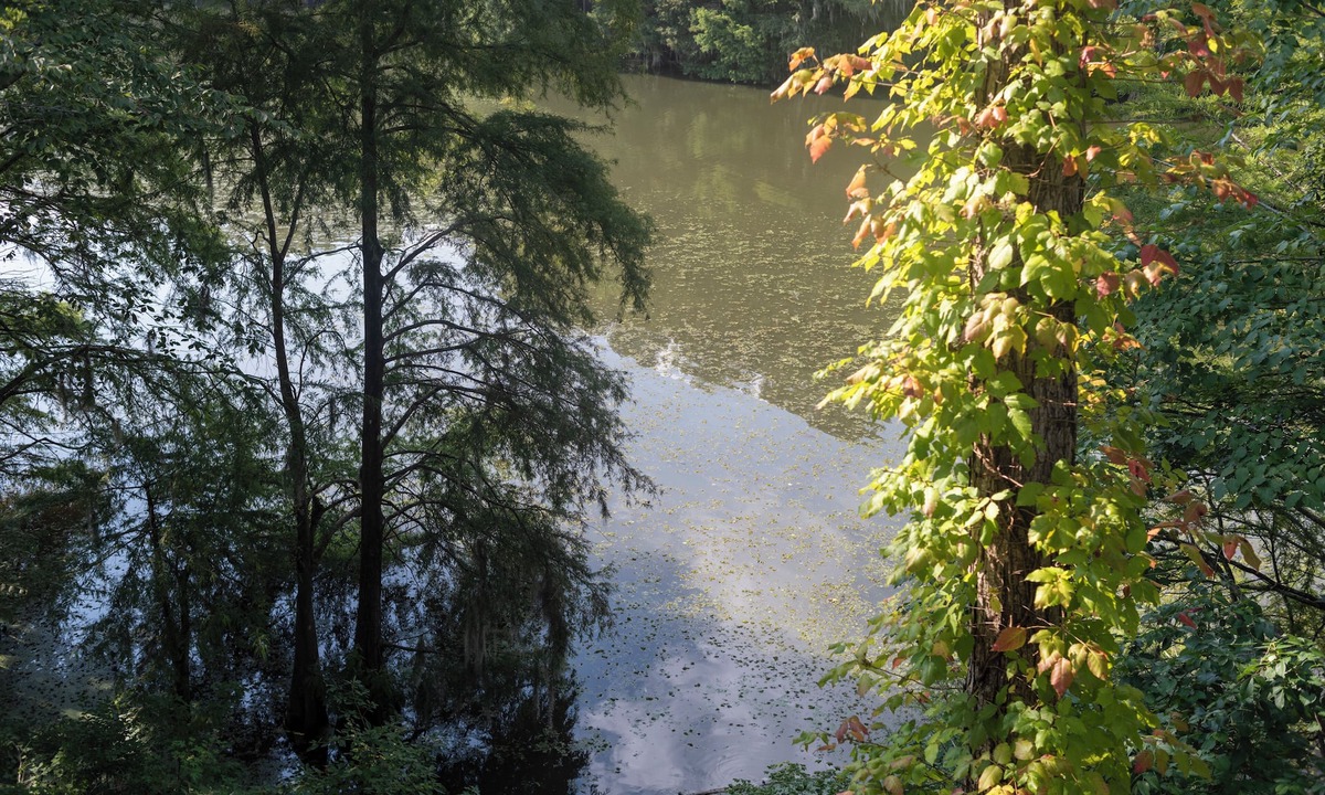 Santee Condo | Peaceful Condo on Lake Marion in Santee, SC. Time to play golf and go fishing!