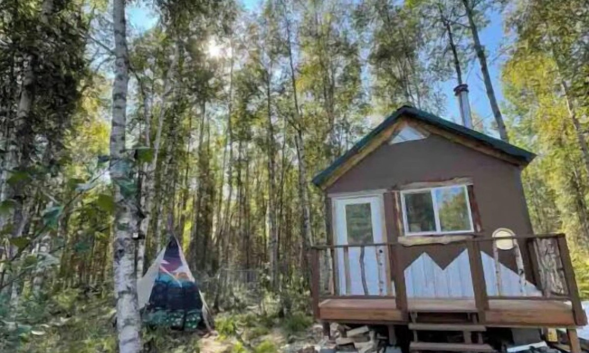 Willow Cabin | Pet friendly Alaska’s King Fisher Cabin 30 minutes from Talkeetna