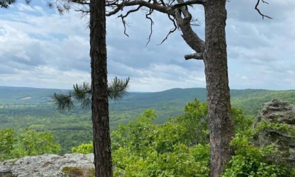 Morrilton House | Relax at this Mountaintop Retreat