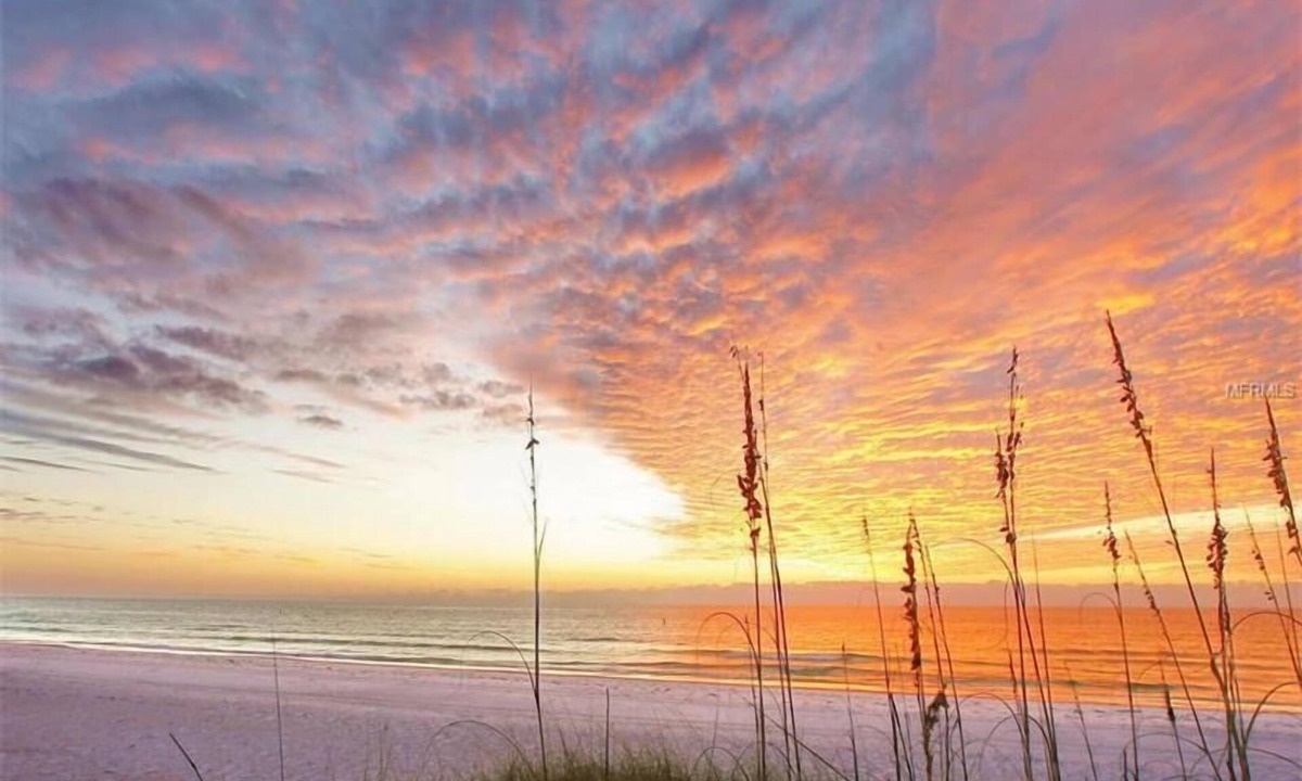 Siesta Key Cottage | Siesta Heron 7