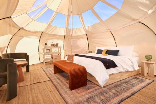 Williams Other | The Moon Hotel