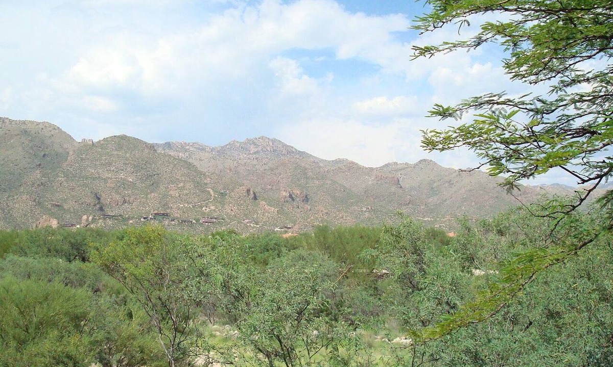 Tucson Condo | Ventana Golf and Catalina Mountain views highlight this Superior 2 bedroom