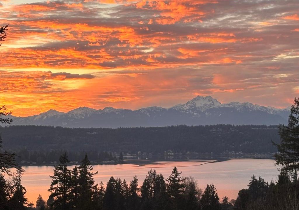 Tracyton Apartment | Water & Mountain Views - Family & Pet Friendly