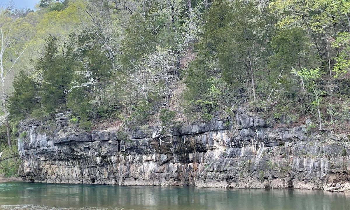 Teresita House | Your Relaxing Getaway Awaits! Pet-Friendly Cabins, Free Parking