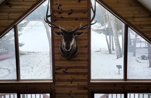 Mercer Cabin | Bayview 1