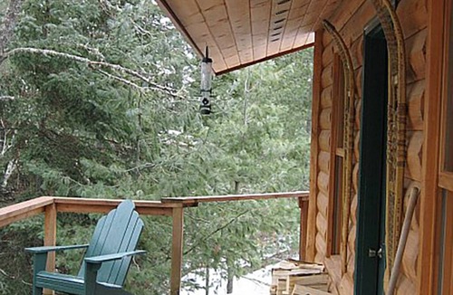 Ely Cabin | Big Pine Cabin - Remote Access Retreat