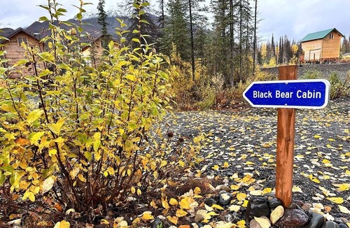 Cantwell Cabin | Black Bear, Black Bear Lakefront Cabin