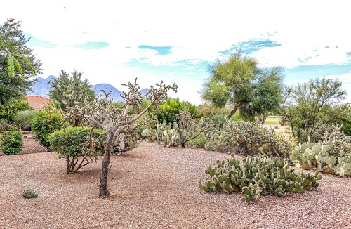 Rancho Vistoso House | Bright home in Sun City with large patio & on-site golf & swimming!
