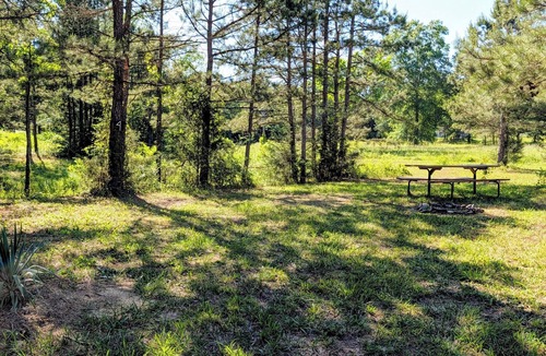 Oden RV Rental | Brookside Tent Site #4 at Ouachita Campground at Edendell