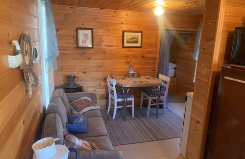 Winter Cottage | Bucktail Lodge Bayview Cabin, view of the East Fork of the Chippewa flowage