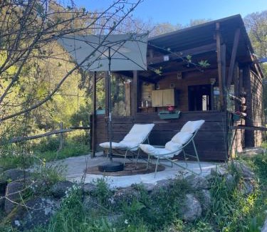 Olivese House | Cabane