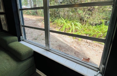 Gainesville Apartment | Central Studio Surrounded by Forest. Calm & Comfort