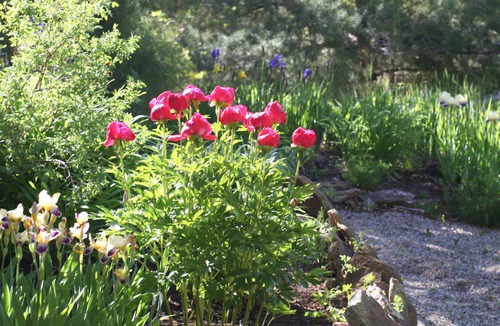 Mancos Cottage | Charming Garden Cottage on Private Lake w/Hot Tub