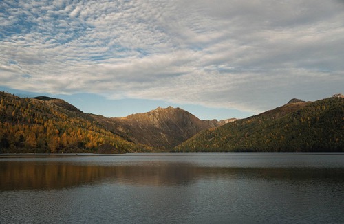 Salkum Cabin | Charming rustic cabin 5 minutes from the lake Mayfield.