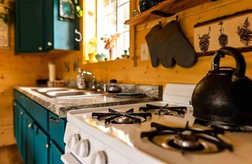 Fairbanks North Star Borough Cabin | Chena Hot Springs Off Grid Cabin