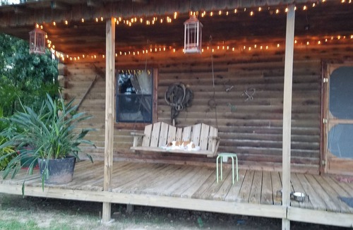 Antlers Cabin | Cozy 2 rm pet friendly cabin- private lake - fishing & swimming - CowboyCabin