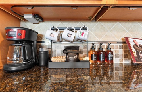 Indian Point Apartment | Dunder Mifflin Branson! Office-Themed Lake Condo