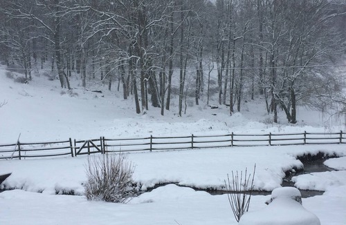 Sparta Cottage | Explore and Renew in Blue Ridge Cottage on Our Wee Glen