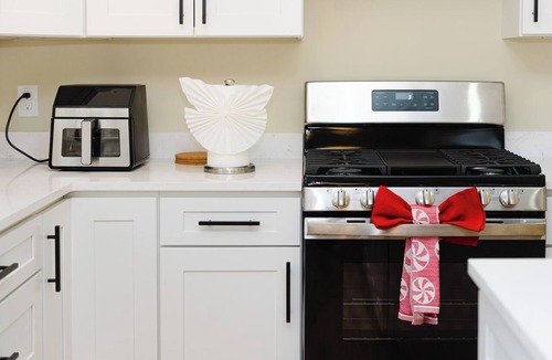 West Codman Hill - West Lower Mills Apartment | Family-Friendly 3BR Apt - Easy Downtown Boston Accesss - near Franklin Park 603