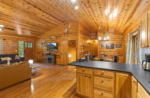 Logan Cabin | Honeybee Hideaway | Hot Tub, Game Room, Pond