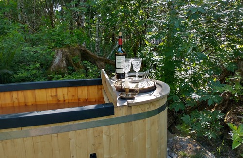 Nordland RV Rental | Memorable Forest Stay with Hot Tubs + Beaches nearby