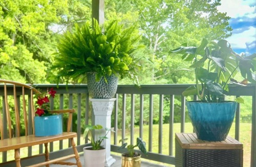 Ruffin House | Peaceful Private & Unique in beautiful Providence