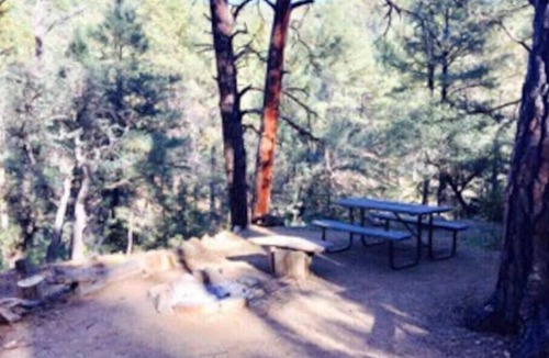 Prescott Cabin | "Rustic Serenity"