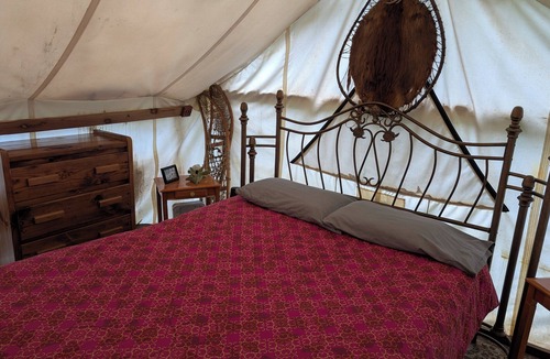 College Cabin | Sleep in the trees! A treehouse escape just 5 minutes from airport and downtown!