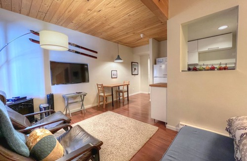 Mount Crested Butte Condo | Studio Getaway close to the slopes!
