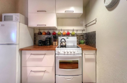 Mount Crested Butte Condo | Studio Getaway close to the slopes!