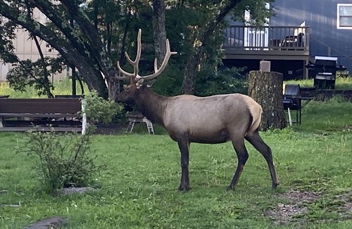 Cloudcroft Hotel | Summit Inn
