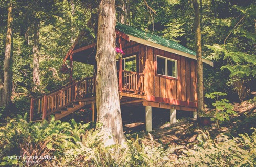Quilcene House | Wondrous, Secluded, Waterfront Home, pet friendly, hot tub, kayaks, trails