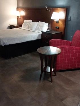1BR 1B King Bed Apartment w Kitchen 223