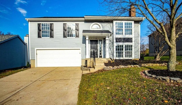 5388 Leaf Back · Lacinda`s Cozy Home