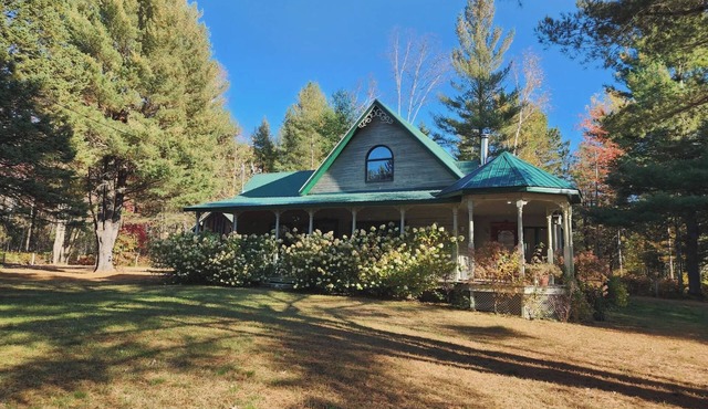 A small, rustic cabin surrounded by trees, with access to an alpaca farm! in Mandeville
