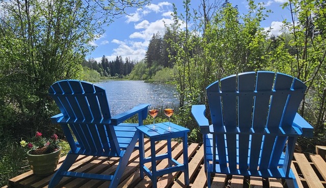 Alder Falls: Olympic NP | Firepit | Lake Access