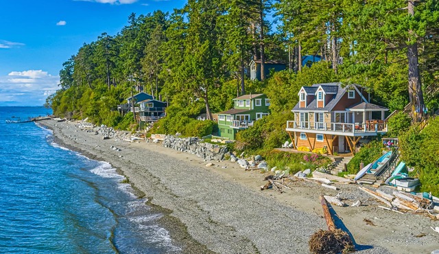 Beachfront studio with private patio, wood finishes, kitchenette, & partial AC