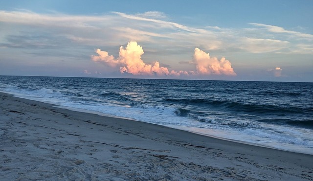 Blue Dolphin Beach Cottage - Short Walk to Beach and Many New Updates