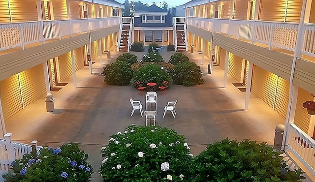 Budget-friendly Accommodation! 3 Pet-friendly Units, Free Onsite Parking