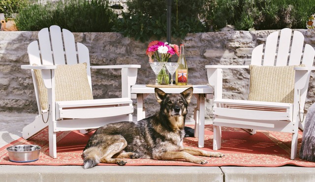 Casa San Miguelito, Downtown Avila Beach│Steps from the Best Beach│Dog Friendly