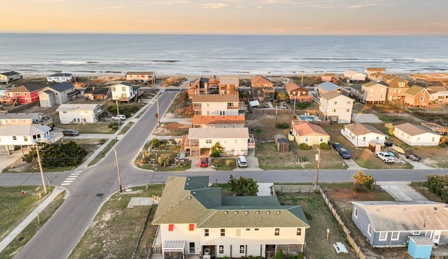 Counting Pelicans + Ocean View + Pelican Hunt