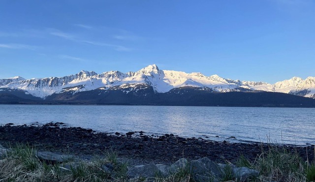 Cozy Seward Cottage: Amazing Location in the middle of town. Pet-Friendly!